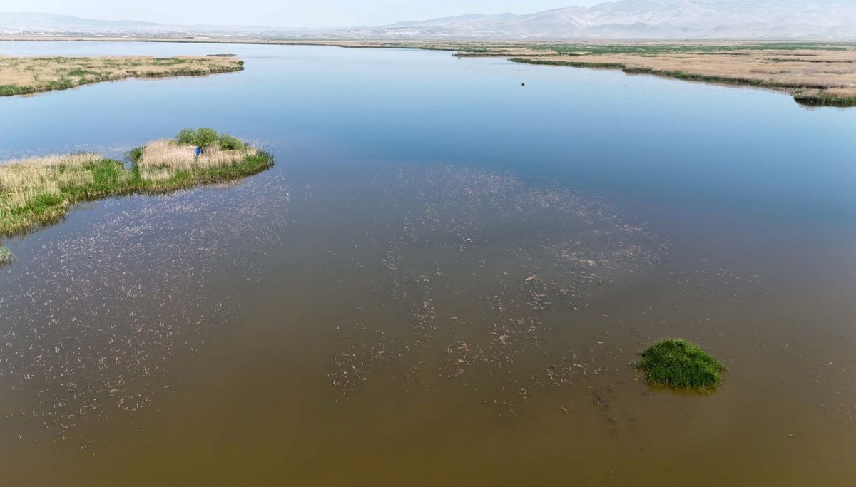 Eber Gölü için yeni yasak
