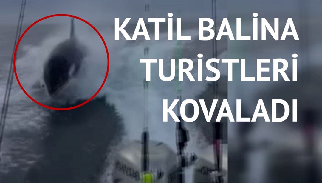 Gezi teknesindeki turistler neye uğrağını şaşırdı