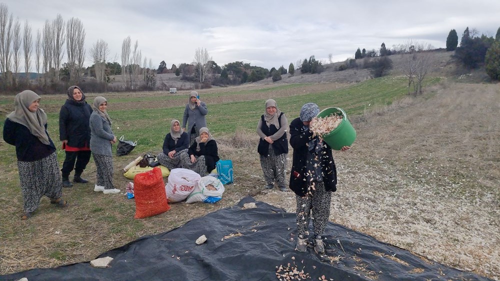 Domaniç'in Altın Sarımsağı İçin Geri Sayım Başladı 72 LKo4z0QblESM7v9dLGH8zA