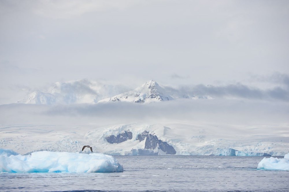 Küresel ısınma nedeniyle Arktik deniz buzu yakın bir zamanda yok olacak: İşte Dünya'yı bekleyen tehlikeler - 11