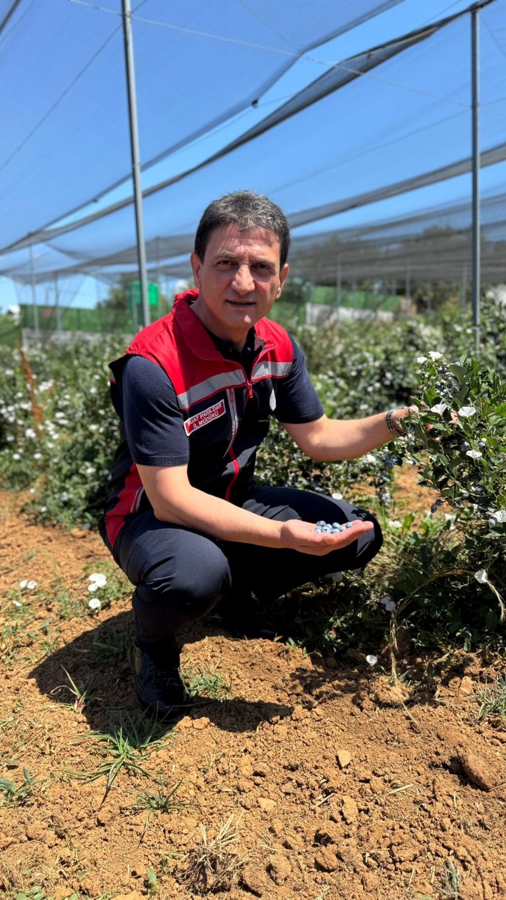 20'den fazla ülkeye ihraç ediliyor: 10-15 yıl önce dikildi, verimi arttı - 5