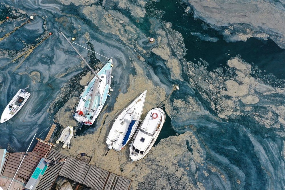 ODTÜ'den Marmara'da 'derin' inceleme - 19