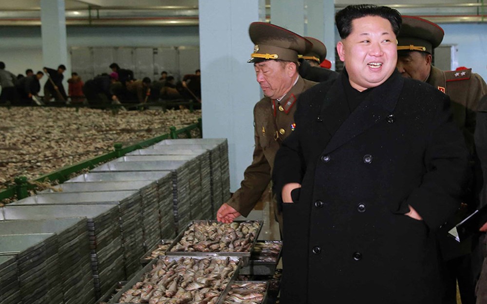 Голод в северной корее. Северная Корея 1995 голод. Северная Корея голод 1994-1998 в КНДР.