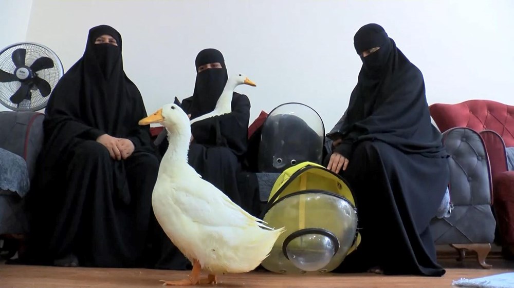 Başakşehir'de göletteki ördekleri çaldığı iddia edilen kadın konuştu - 4