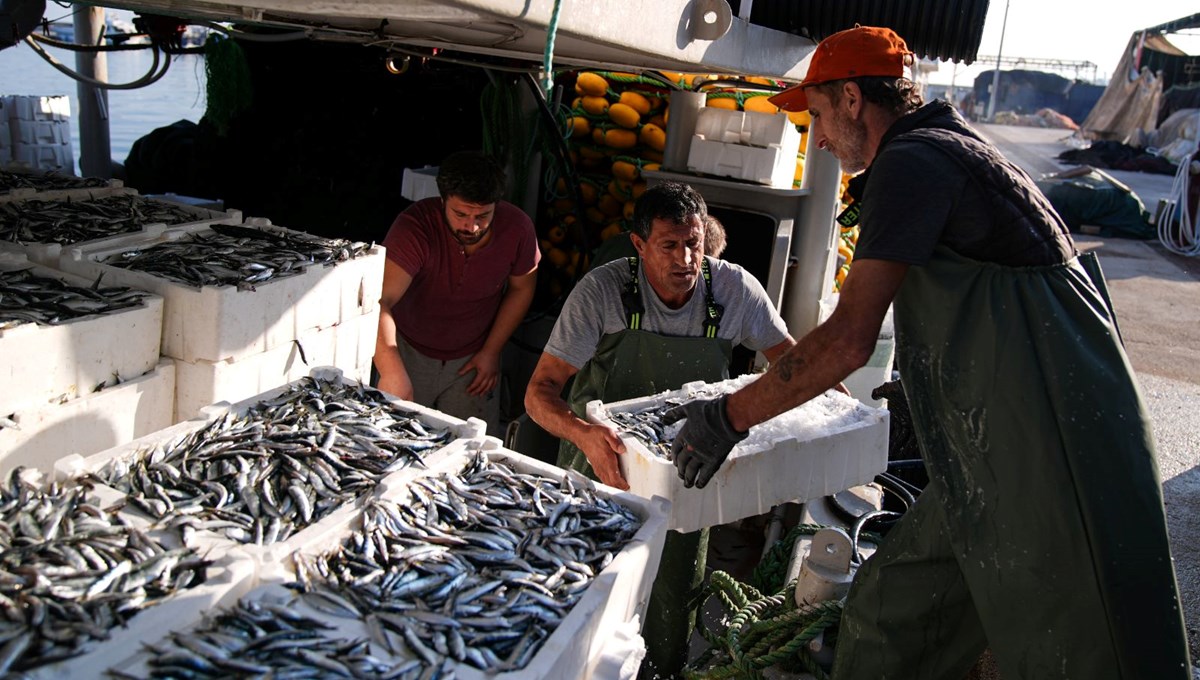 Balıkçılar ağlarını sardalya ile doldurdu