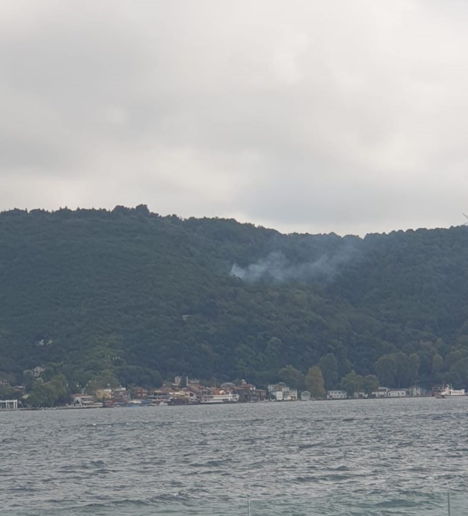 Beykoz'da korkutan orman yangını söndürüldü - 2