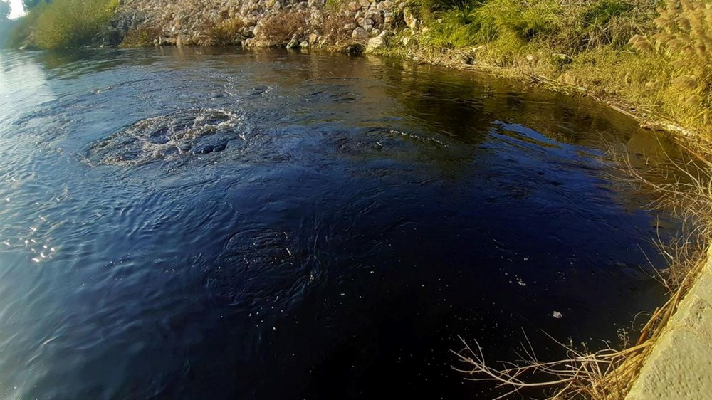 Büyük Menderes Nehri çöplüğe döndü - 1