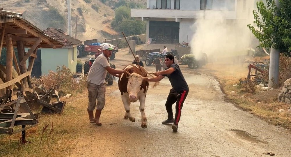 Sakarya'da iki mahalle tahliye edildi: Alevlerle mücadele gece boyu sürdü - 5