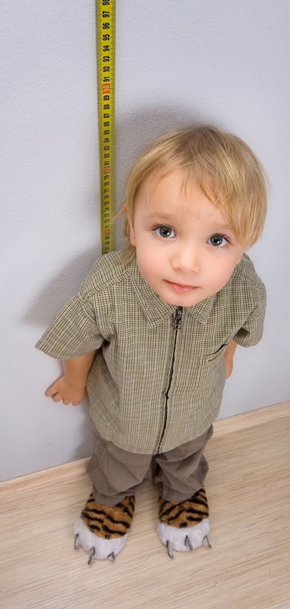 Boy Uzamasina Yardimci Besinler Cocugun Boyu Uzamiyorsa Dikkat Saglik Haberleri Ntv