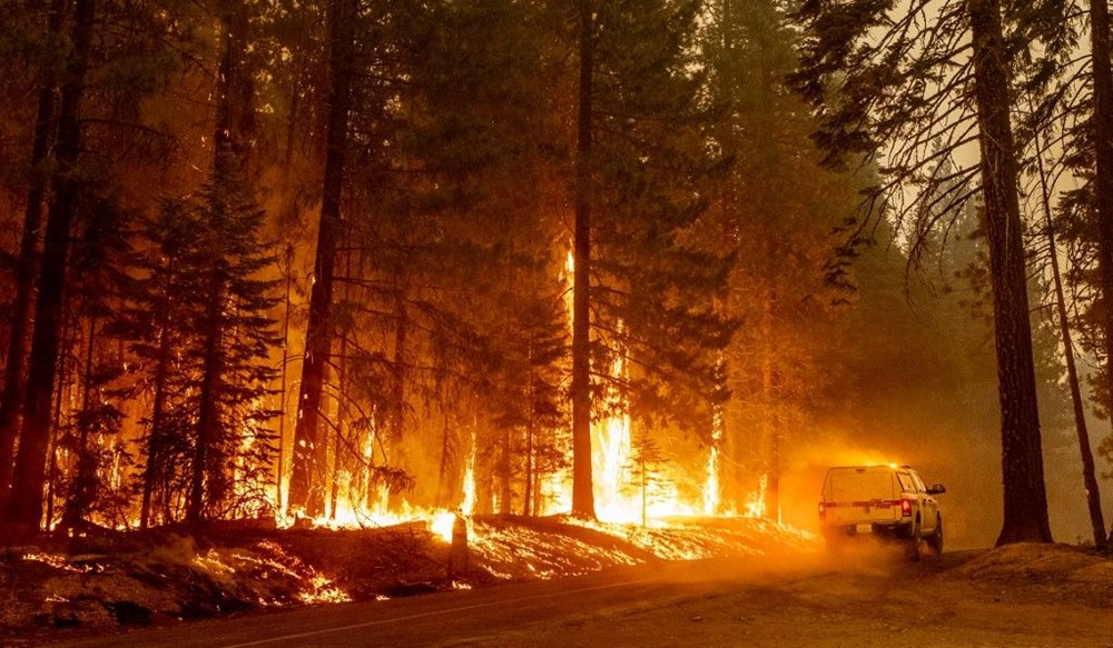 California'da orman yangınları evleri küle çevirdi - 2