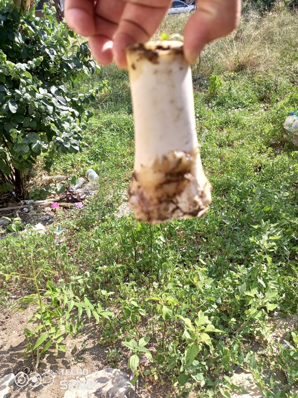Apartmandan atılan kemik, 25 bin liralık hasara sebep oldu - 2