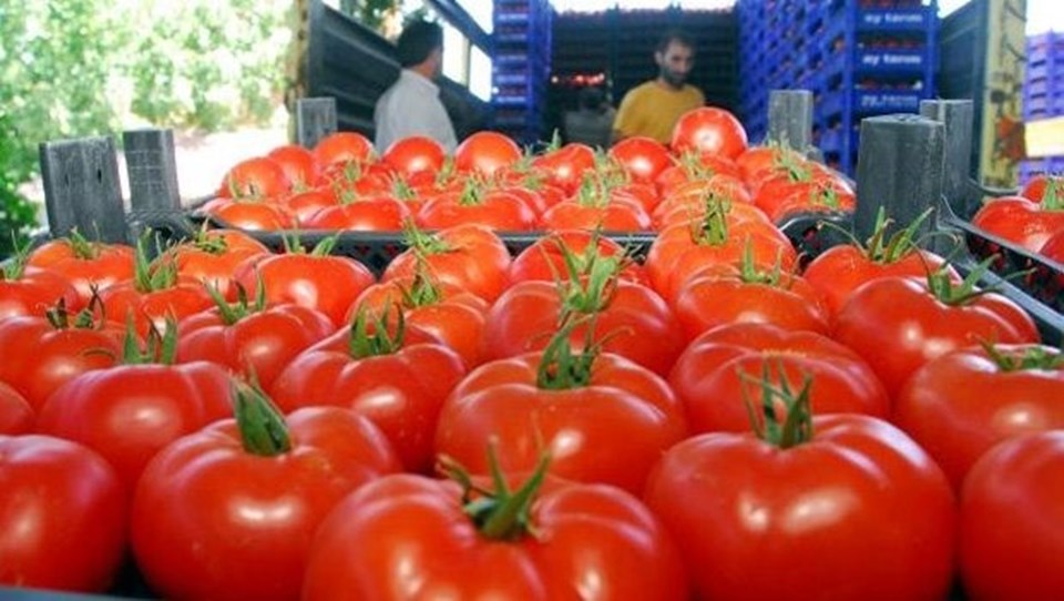 Yayla sezonu başladı, domatesin fiyatı arttı - 1