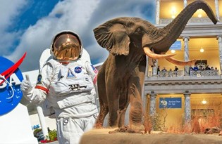 2020 kurban bayrami ne zaman