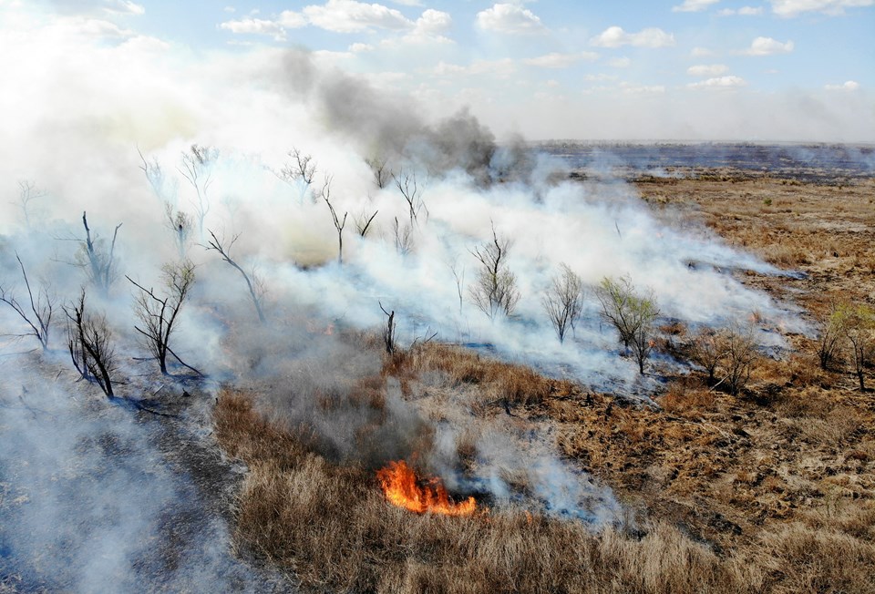 Arjantin Cumhurbaşkanı Alberto Fernandez, yangınların kasıtlı çıkarıldığını söyledi. 
