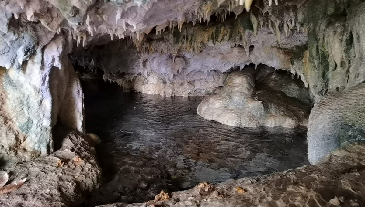 Hayvanlarını otlatırken binlerce yıllık mağara buldular