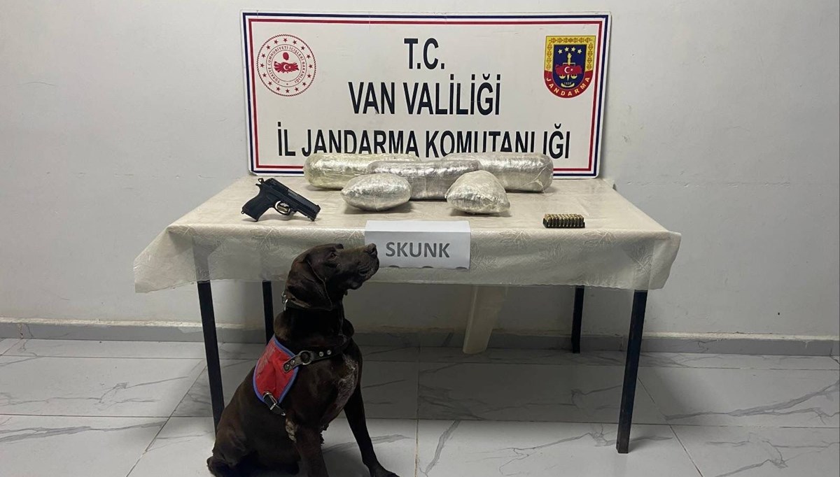 Van'da uyuşturucu operasyonunda gözaltı Van'da uyuşturucu operasyonunda gözaltı