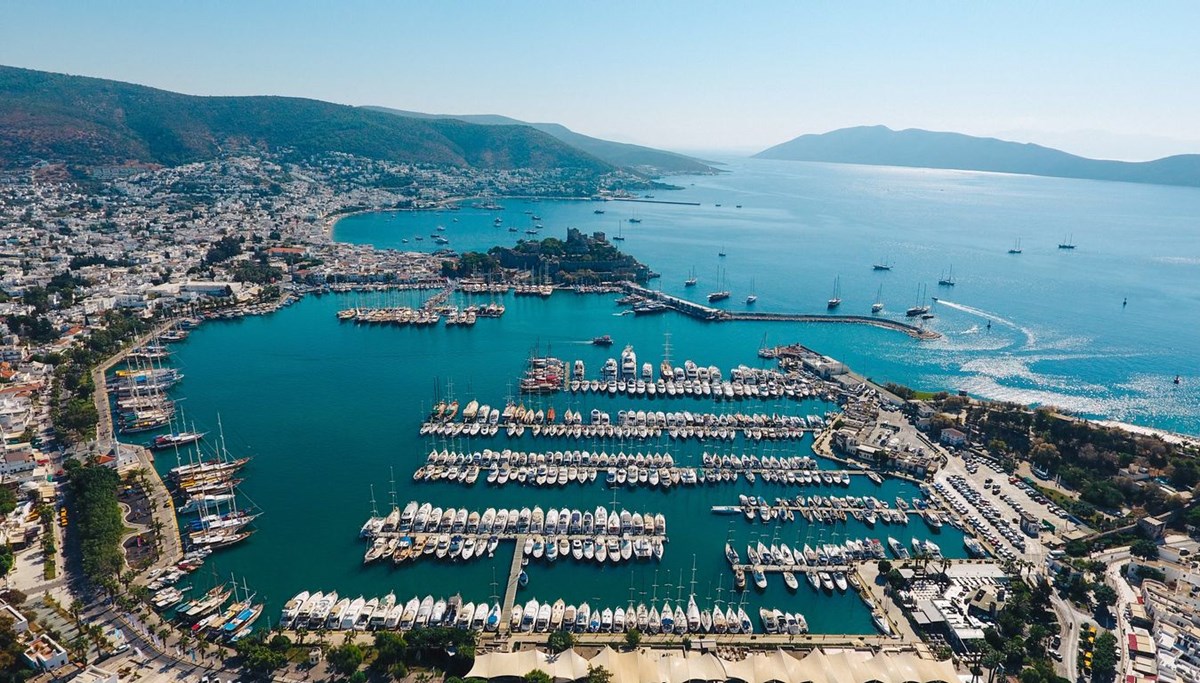 Bodrum'da ölü caretta caretta bulundu