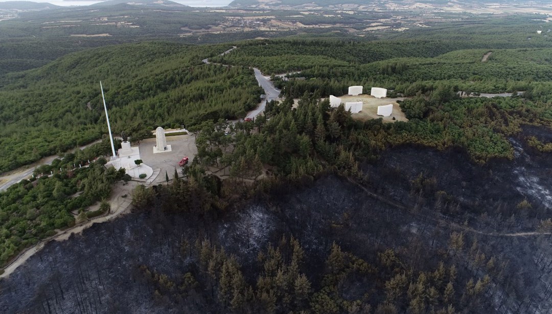 Çanakkale'de yangın nedeniyle girişlerin durdurulduğu tarihi alan ziyarete açıldı