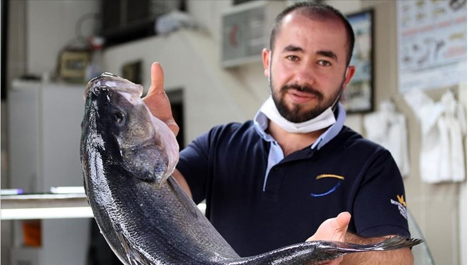 Ağlara takılan 15 kilogramlık levrek 2 bin 550 liraya satışa sunuldu