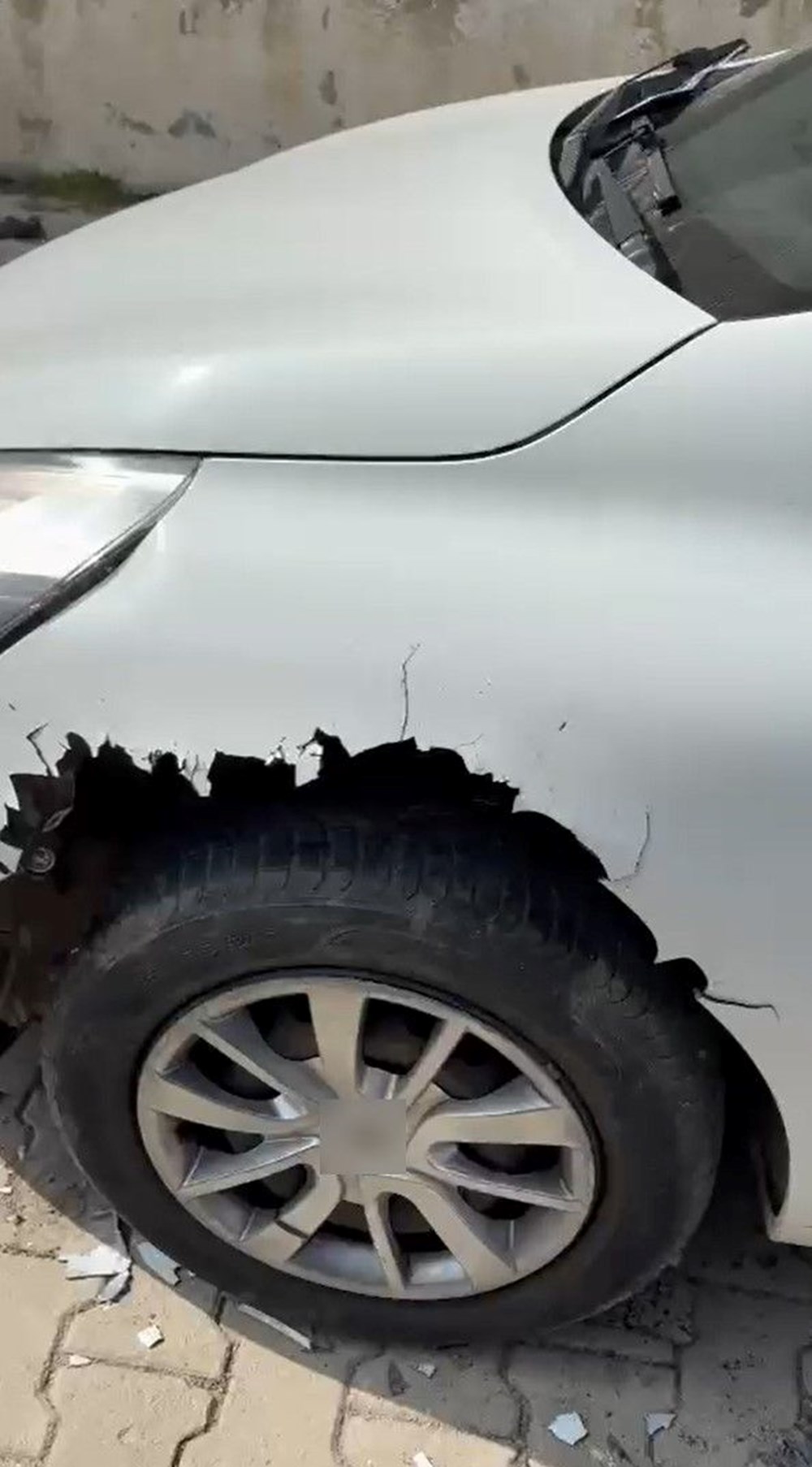 Sokak Köpekleri Araba Canavarına Dönüştü: Mağdur Belediyeye Tazminat Davası Açtı 77 La 3GYcrdUON5Pf7IdG3Vg