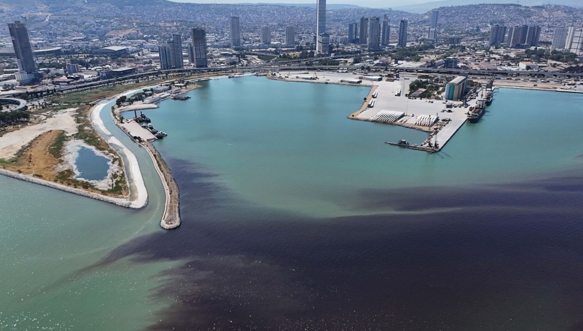 İzmir'de balık ölümleri yeniden başladı