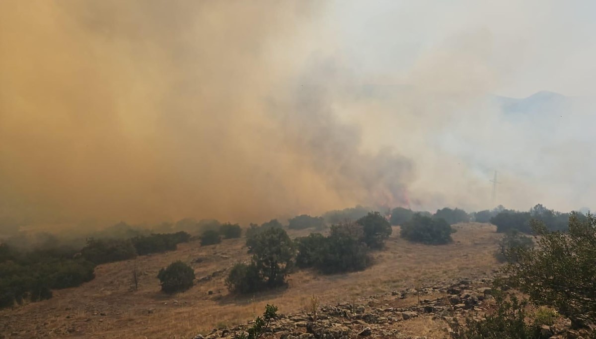 Balıkesir'de yangın