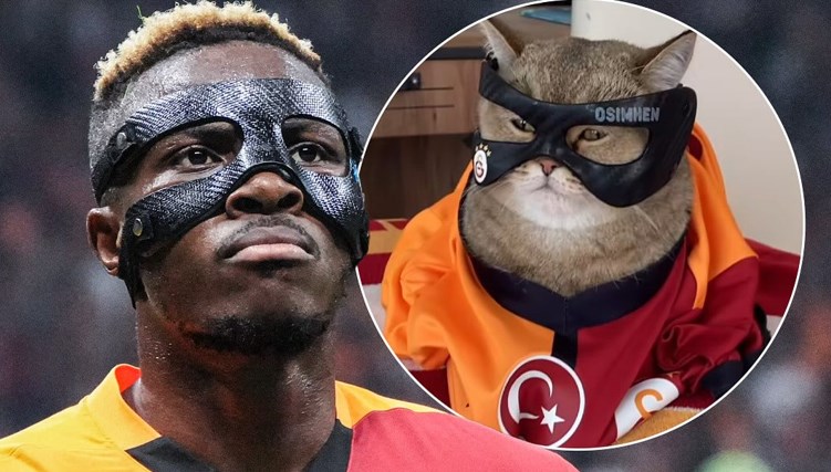 Osimhen'den maskeli kedi Pisimhen paylaşımı