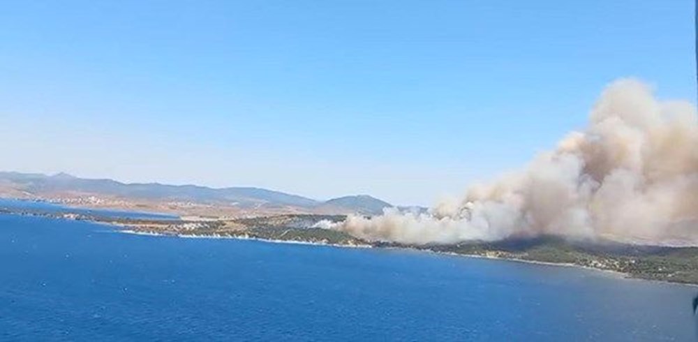 İzmir'de Aliağa ve Menderes'te orman yangını - 3