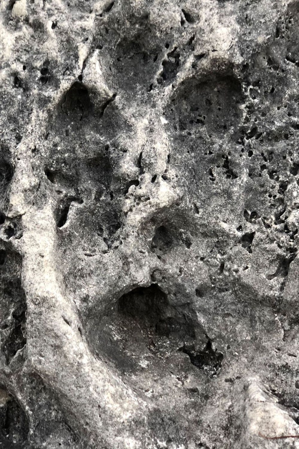 Eğirdir'de sular çekildi, fosil adacıklar oluştu - 3