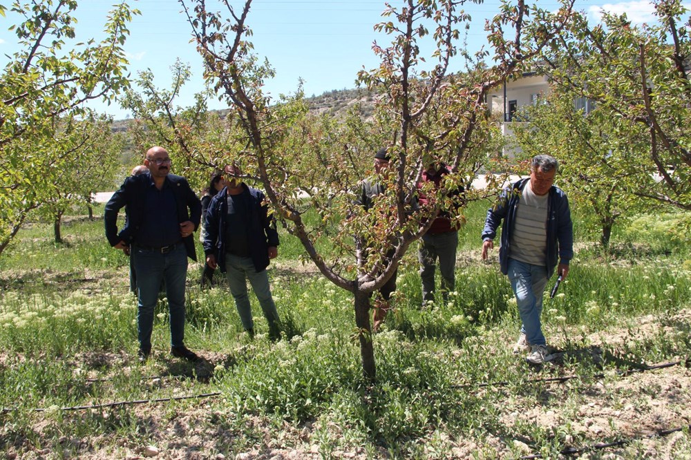 LhA jU7FtkeKqeVryCzZ6g