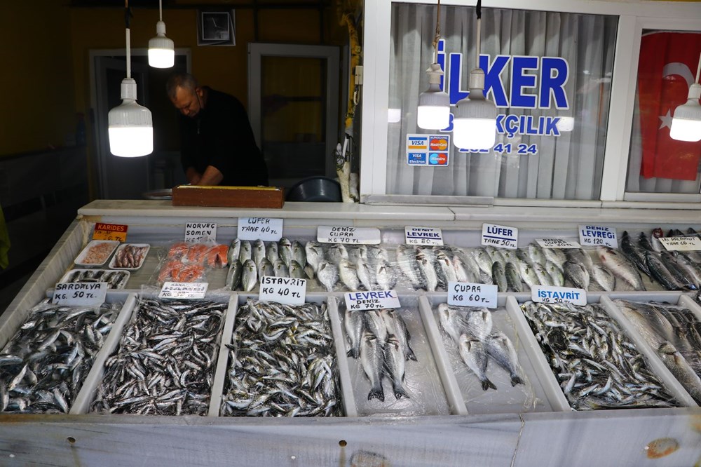 Marmara Denizi'nde lüfer bolluğu - 6