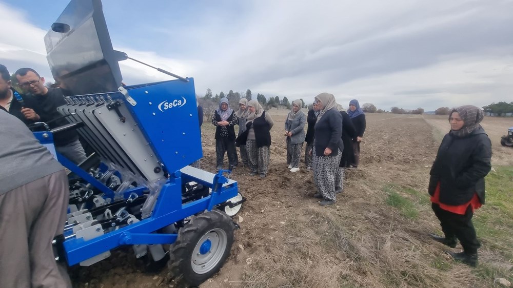 Domaniç'in Altın Sarımsağı İçin Geri Sayım Başladı 74