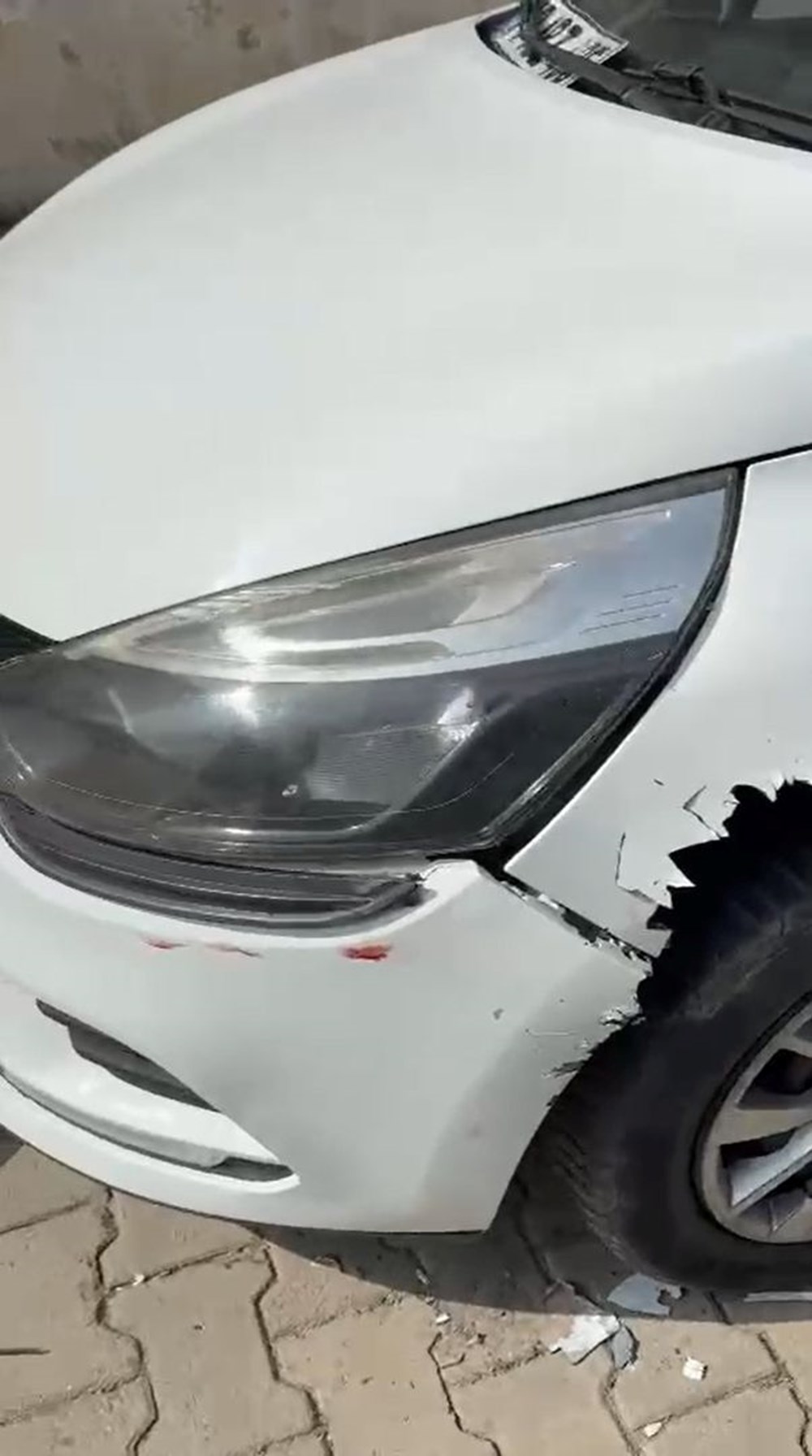 Sokak Köpekleri Araba Canavarına Dönüştü: Mağdur Belediyeye Tazminat Davası Açtı 78 LijZSI4vLUGb7qgGTuCSTQ