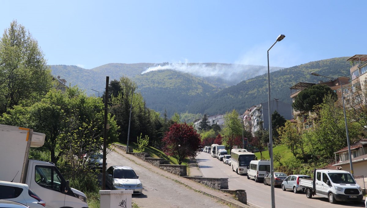 Uludağ eteklerinde orman yangını