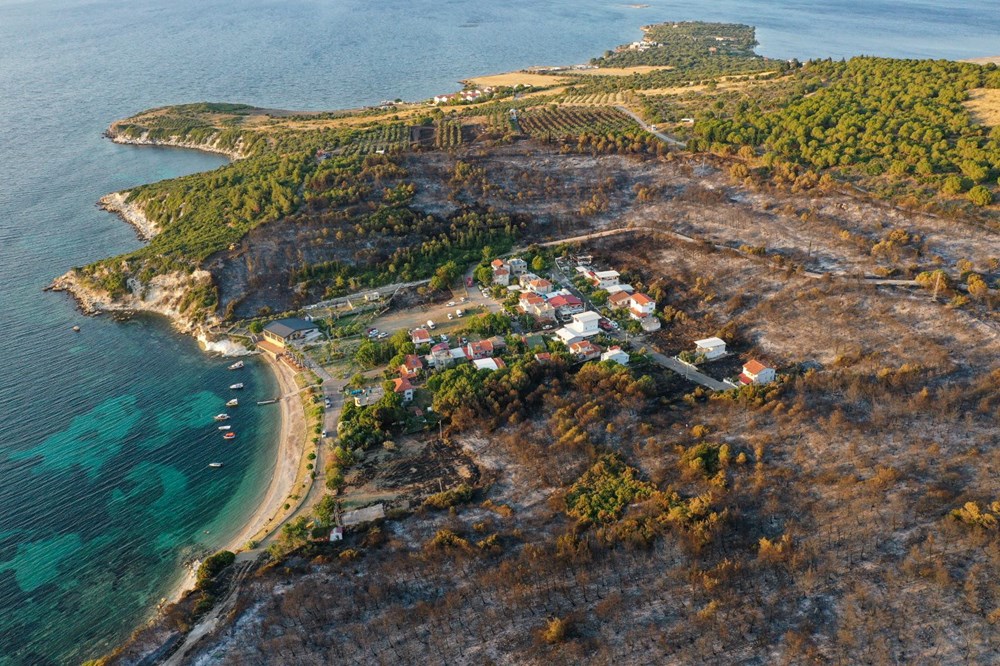 İzmir'de Aliağa ve Menderes'te orman yangını - 27