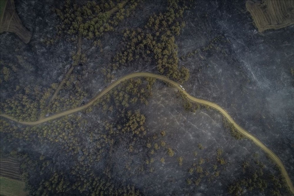 Haftanın fotoğrafları (4-10 Temmuz 2020) - 19