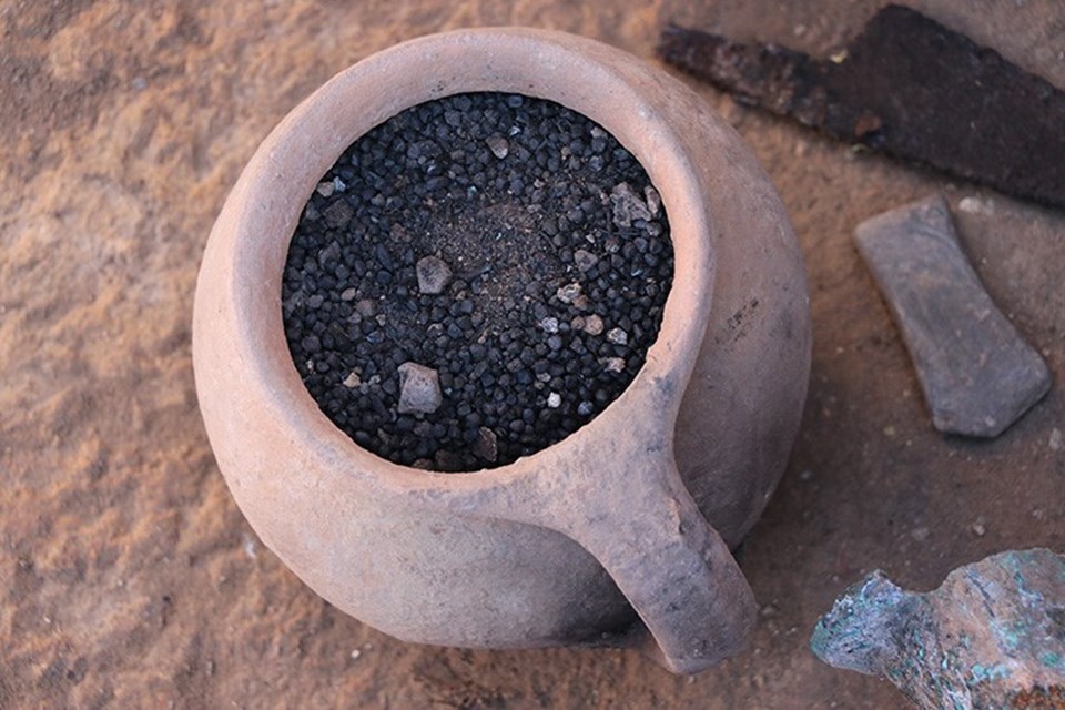 Karabük'teki antik kentte 1600 yıllık tohumlar bulundu - 1