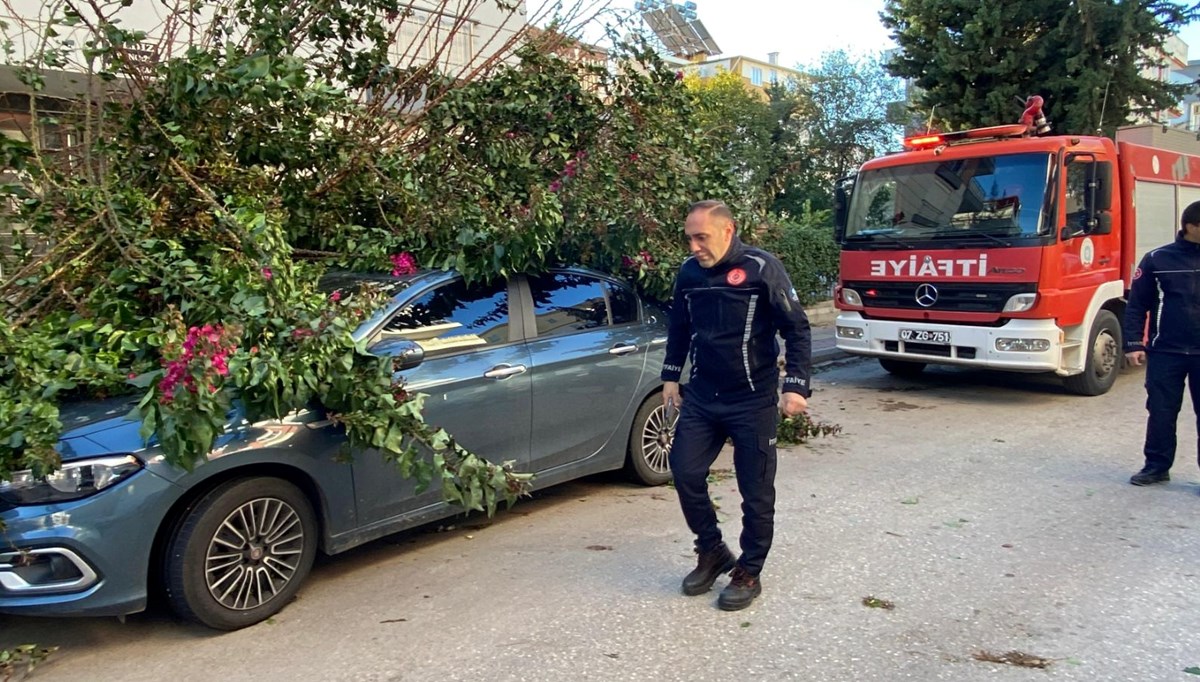 Antalya'da fırtınaya dayanamayan ağaç aracın üzerine devrildi