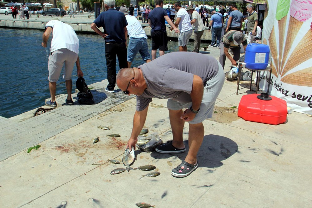 Denizden elleriyle balık topladılar | Ani soğuma şoka soktu - 6