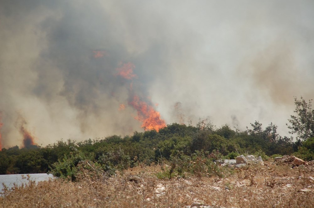Antalya, Adana, Mersin, Aydın, Muğla, Osmaniye ve Kayseri'de orman yangınları - 31