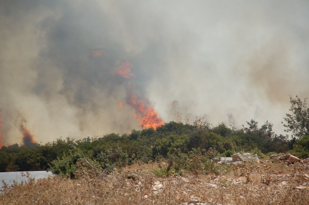 Antalya, Adana, Mersin, Aydın, Muğla, Osmaniye, Kayseri ve Manisa'da orman yangınları - 33