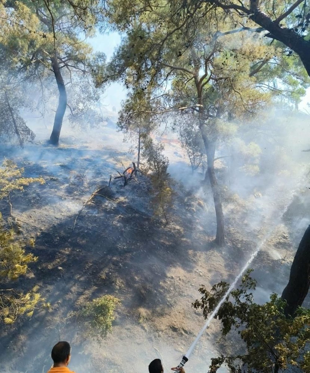 Edirne, Adana, Kahramanmaraş ve Balıkesir’de orman yangını (Havadan ve karadan müdahale ediliyor) - 5
