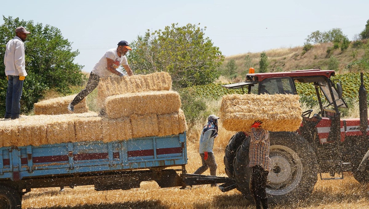 Kavurucu sıcakta zorlu mesai: 5 kişi yaklaşık 1500 balya taşıyor