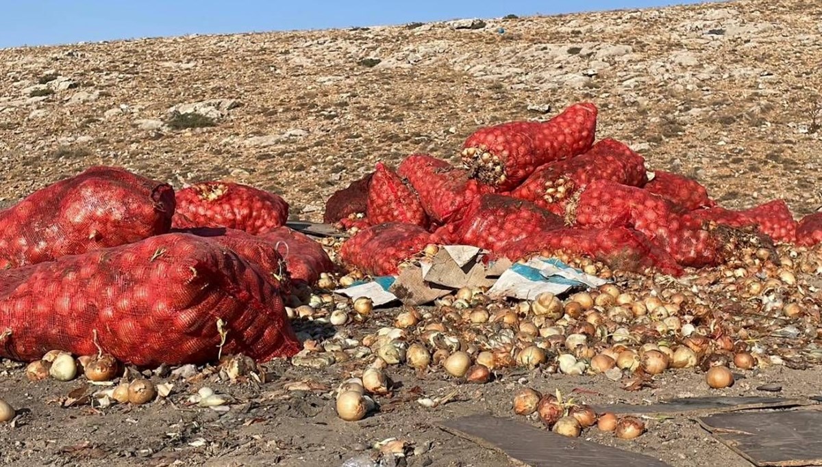 Boş araziye soğan döküldü