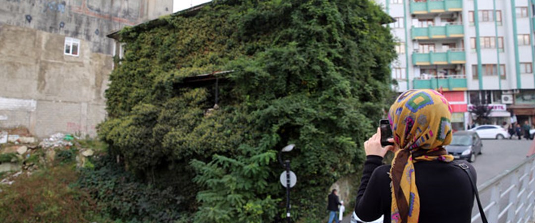 Rize�nin yeşil evi NTV