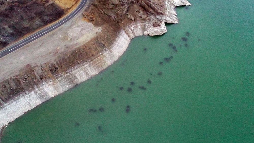Baraj gölündeki balıkların kümeler halinde durmasının nedeni ortaya çıktı - 3
