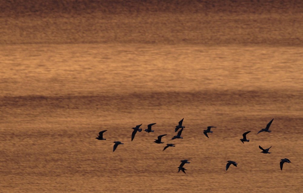 Ukrayna'da son durum: Kiev kışı elektriksiz geçirebilir - 9