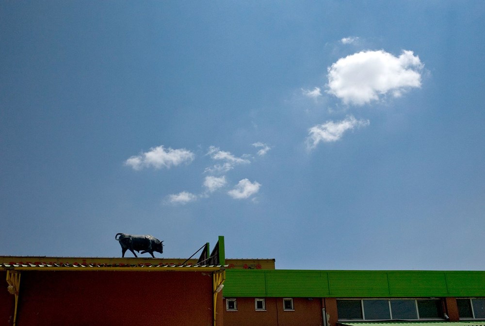 Türkiye’nin ilk sanal fotoğraf festivali başladı - 6