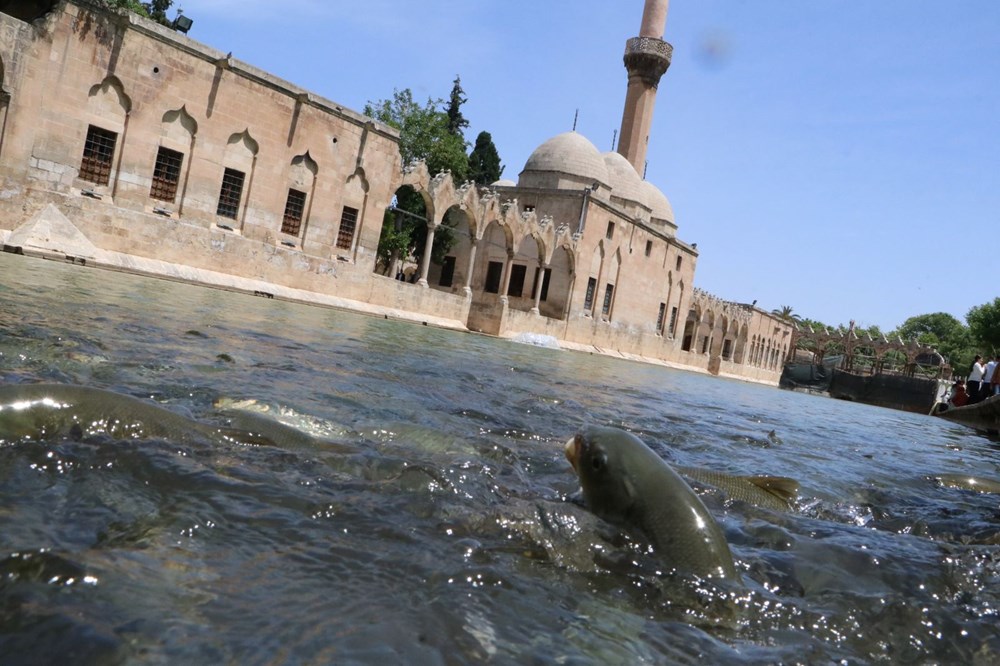 Balıklıgöl normale dönüyor - 2