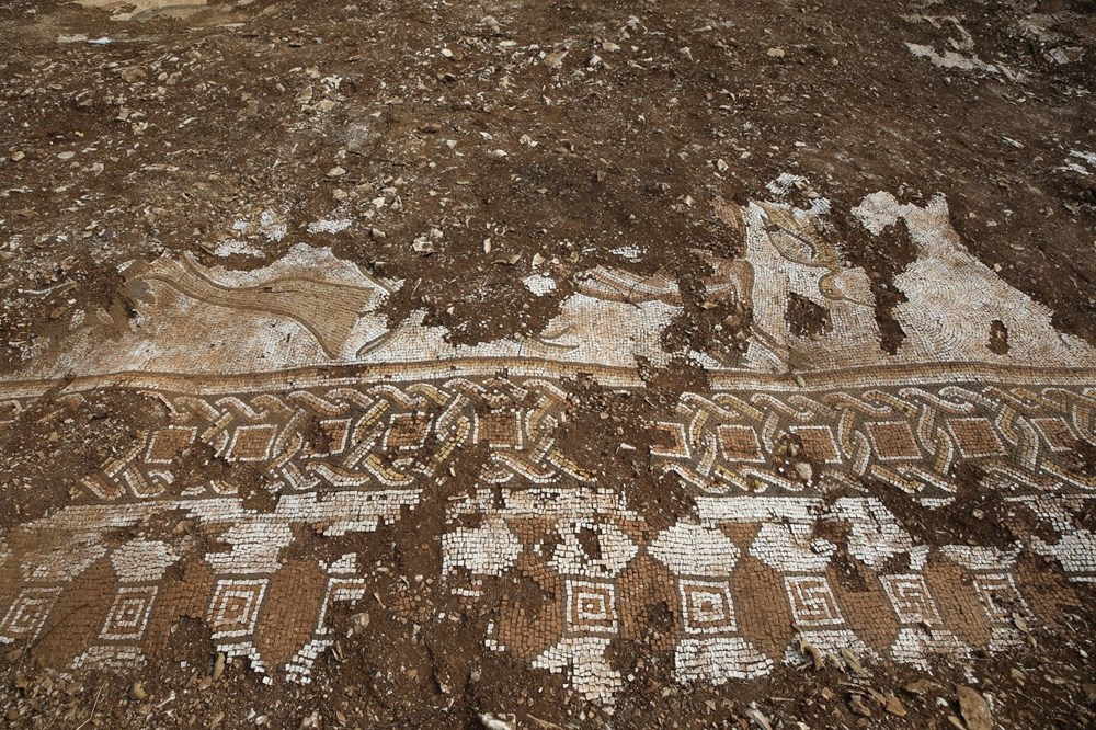 Mardin'de kurtarma kazısında deniz canlıları figürlü mozaikler bulundu - 9
